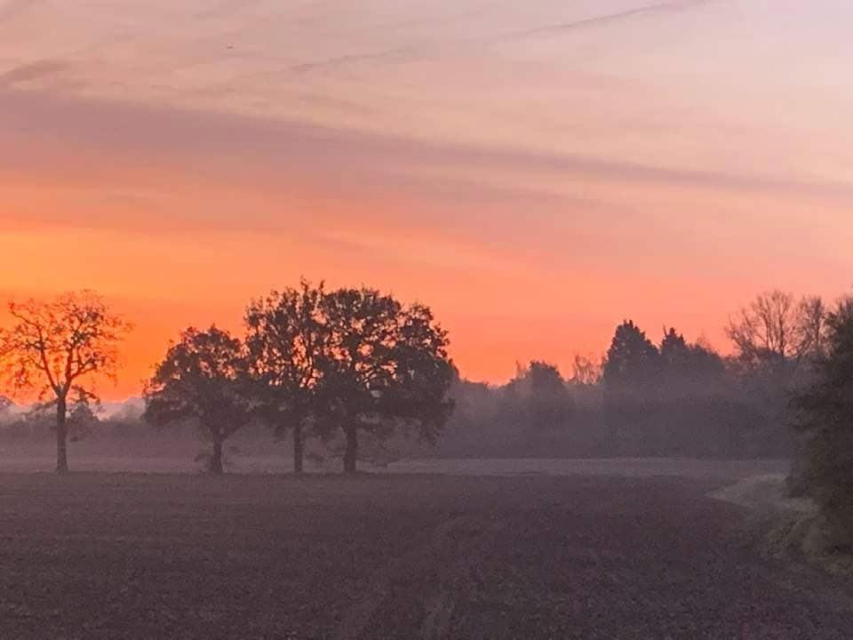Award Winning Lower Whitsleigh Farm Cottage Roborough Esterno foto