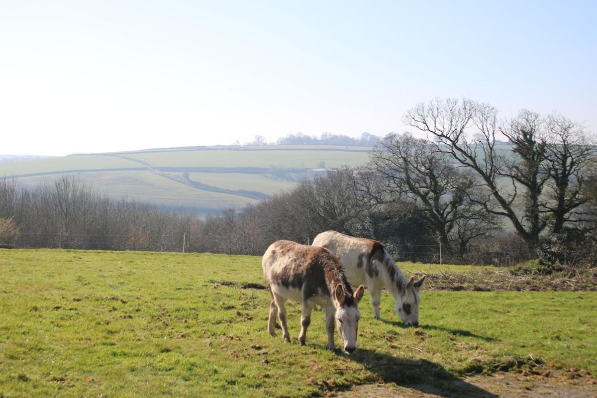 Award Winning Lower Whitsleigh Farm Cottage Roborough Esterno foto