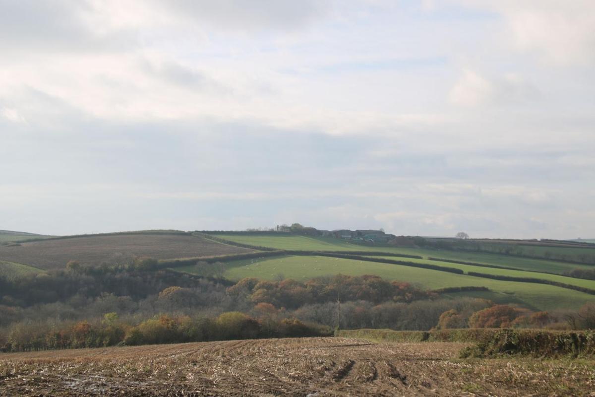 Award Winning Lower Whitsleigh Farm Cottage Roborough Esterno foto